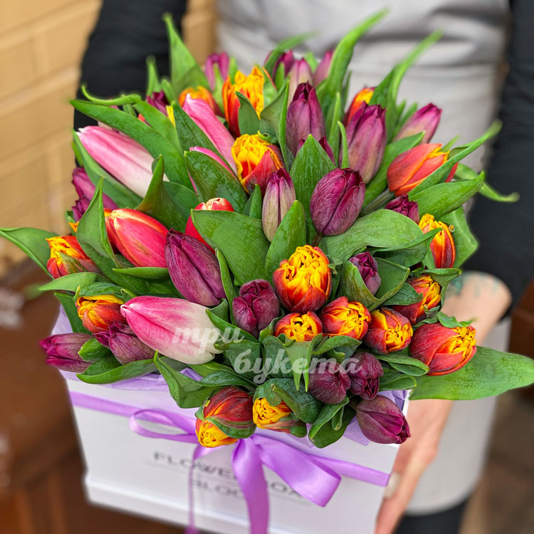 51 розовый тюльпан в коробке