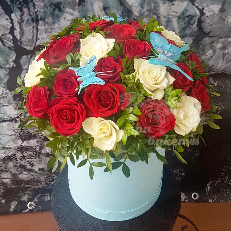 29 красных и белых роз в коробке