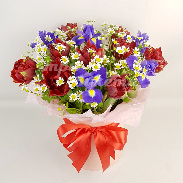 Ирисы и тюльпаны с ромашкой (вид сверху)