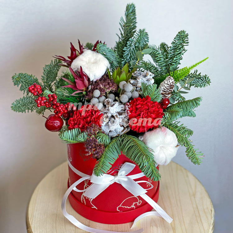 Гвоздика и бруния в хвойных ветках