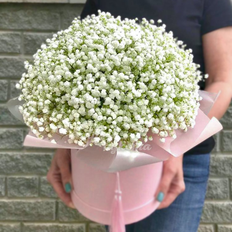 13 белых гипсофил в шляпной коробке