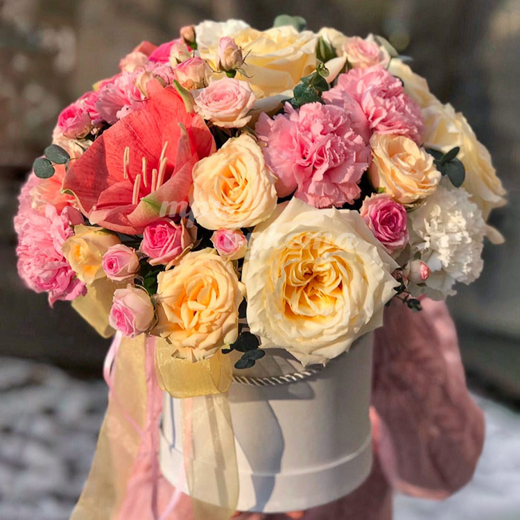 Амариллисы и гвоздики в коробке