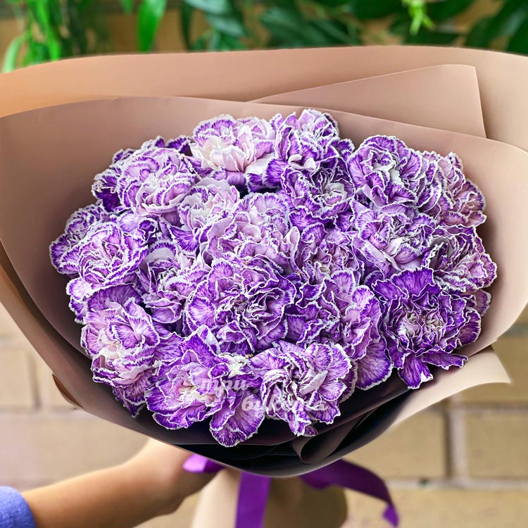 Букет из 25 фиолетовых гвоздик (крупный план)