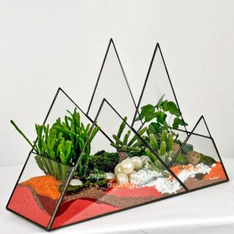 Флорариум с ярким песком, кактусами и плющом